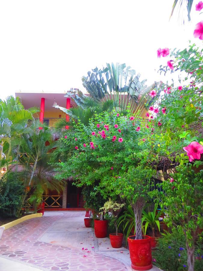 La Cruz Inn La Cruz de Huanacaxtle Exteriör bild
